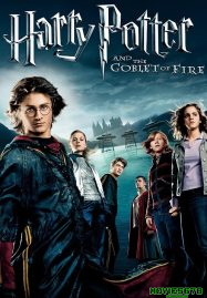 ดูหนังออนไลน์ฟรี Harry Potter 4 And The Goblet Of Fire (2005) แฮร์รี่ พอตเตอร์ 4 กับถ้วยอัคนี